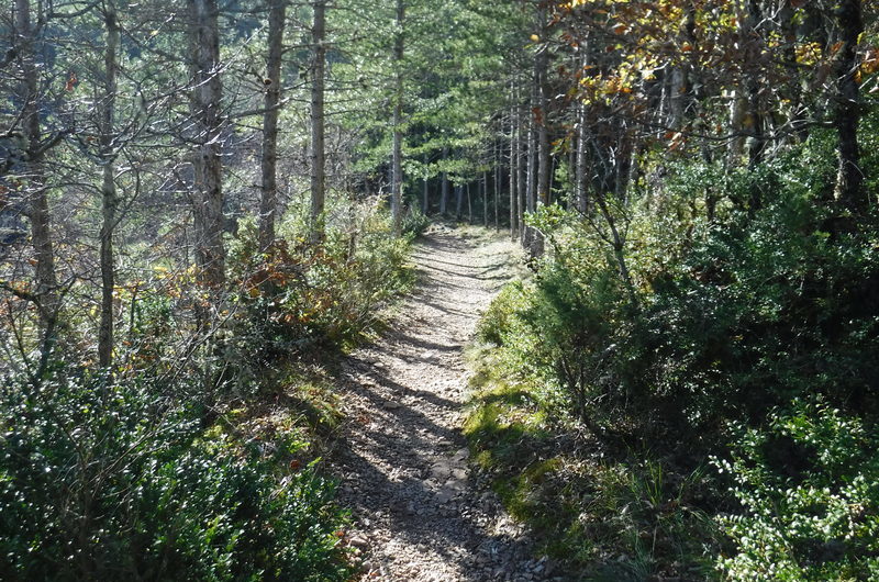 sentier de cassagnes