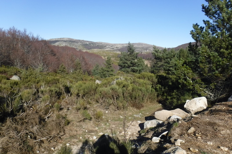 paysage sur le chemin de stevenson